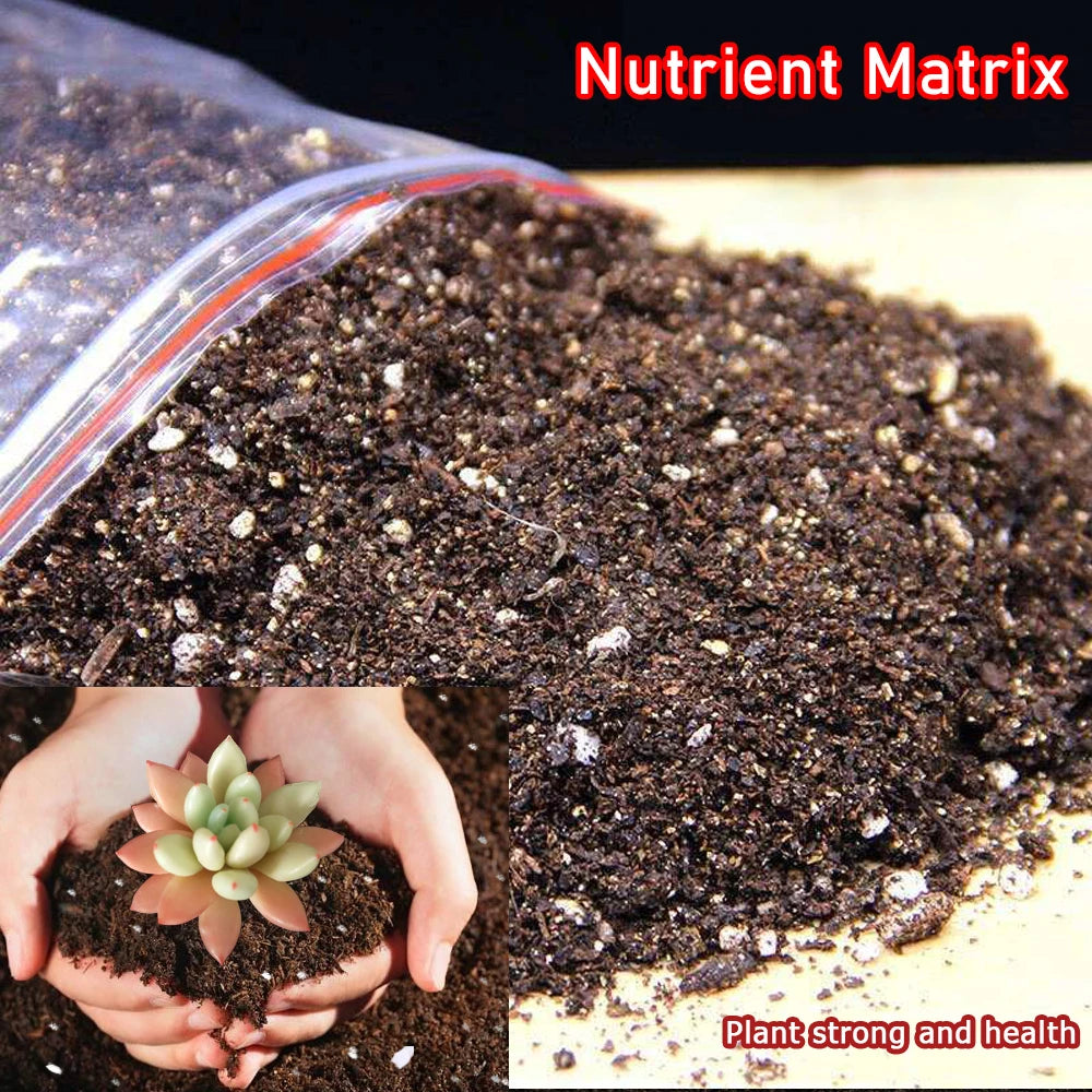Pack de 7 fertilizantes NPK para suculentas y bonsáis