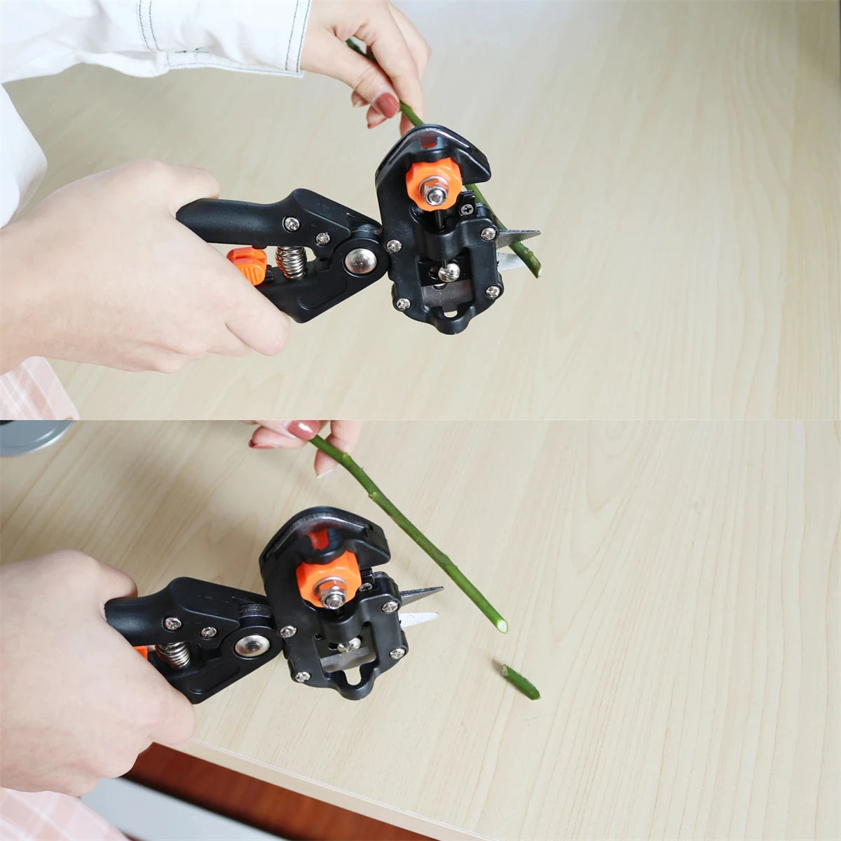 Cinta de injerto de PE autoadhesiva y elástica de 20/30/60/100 mm de ancho y tijeras de poda multifuncionales para plántulas de plantas de jardinería.