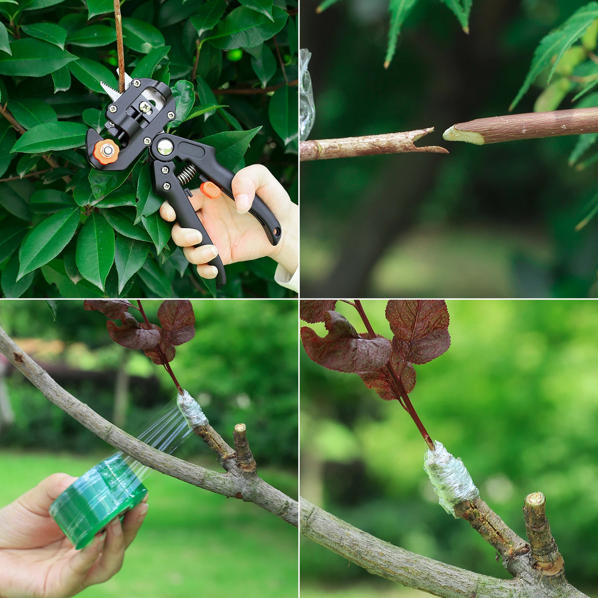 Cinta de injerto de PE autoadhesiva y elástica de 20/30/60/100 mm de ancho y tijeras de poda multifuncionales para plántulas de plantas de jardinería.