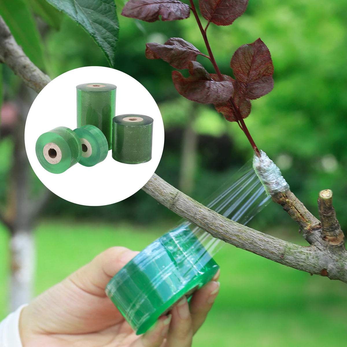 Cinta de injerto de PE autoadhesiva y elástica de 20/30/60/100 mm de ancho y tijeras de poda multifuncionales para plántulas de plantas de jardinería.
