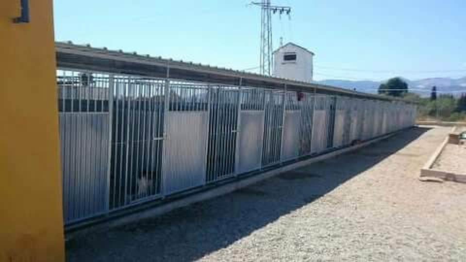 Jaulas profesionales para perros | ESPORT CANIN