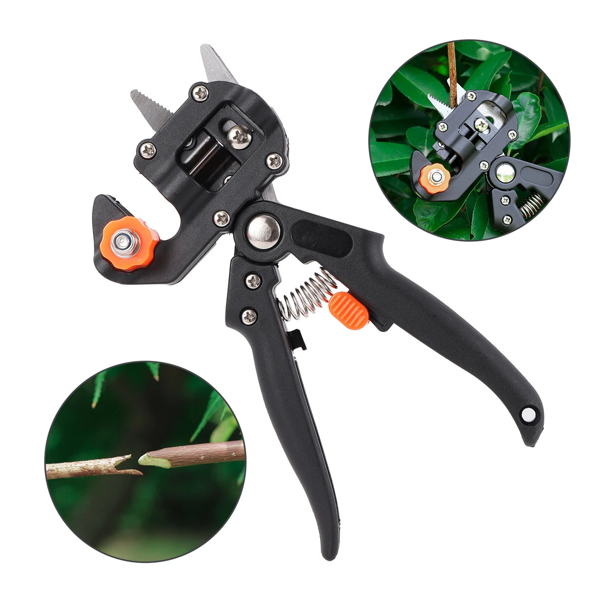 Cinta de injerto de PE autoadhesiva y elástica de 20/30/60/100 mm de ancho y tijeras de poda multifuncionales para plántulas de plantas de jardinería.