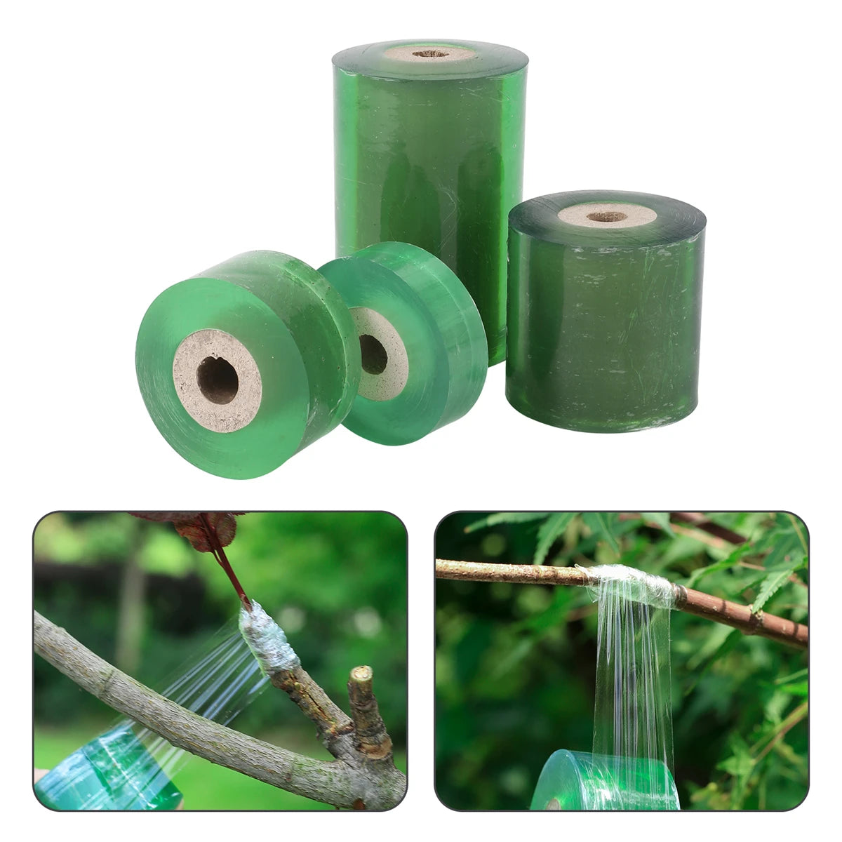 Cinta de injerto de PE autoadhesiva y elástica de 20/30/60/100 mm de ancho y tijeras de poda multifuncionales para plántulas de plantas de jardinería.