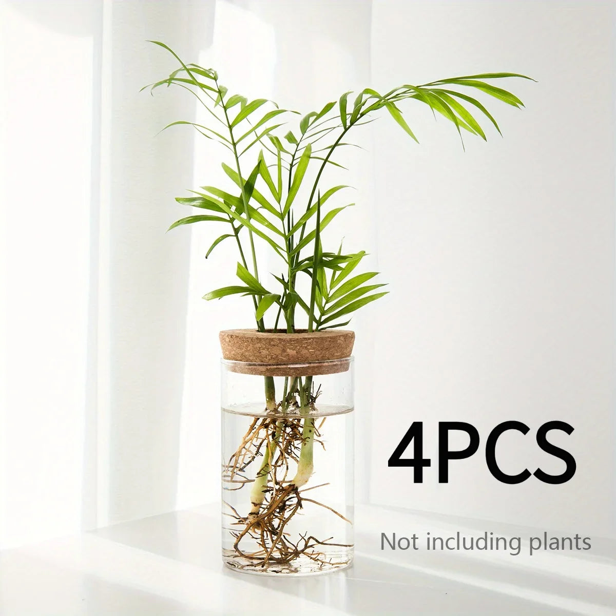 Florero de cristal para propagar plantas en agua