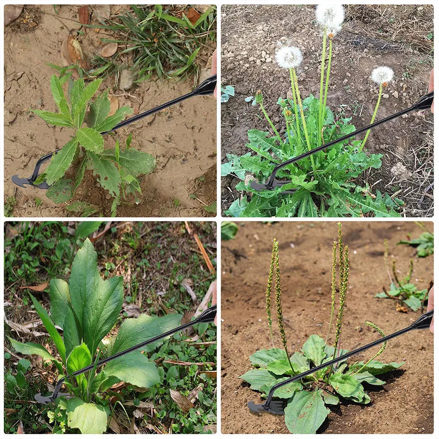 Azada para quitar malas hierbas | Jardín y huerto