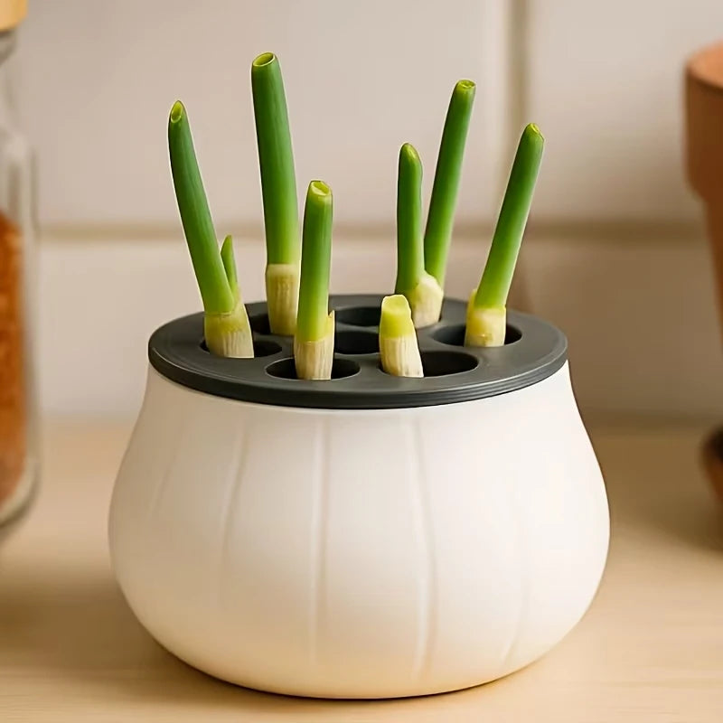 Kit hidropónico para cultivar ajo y cebollino en casa