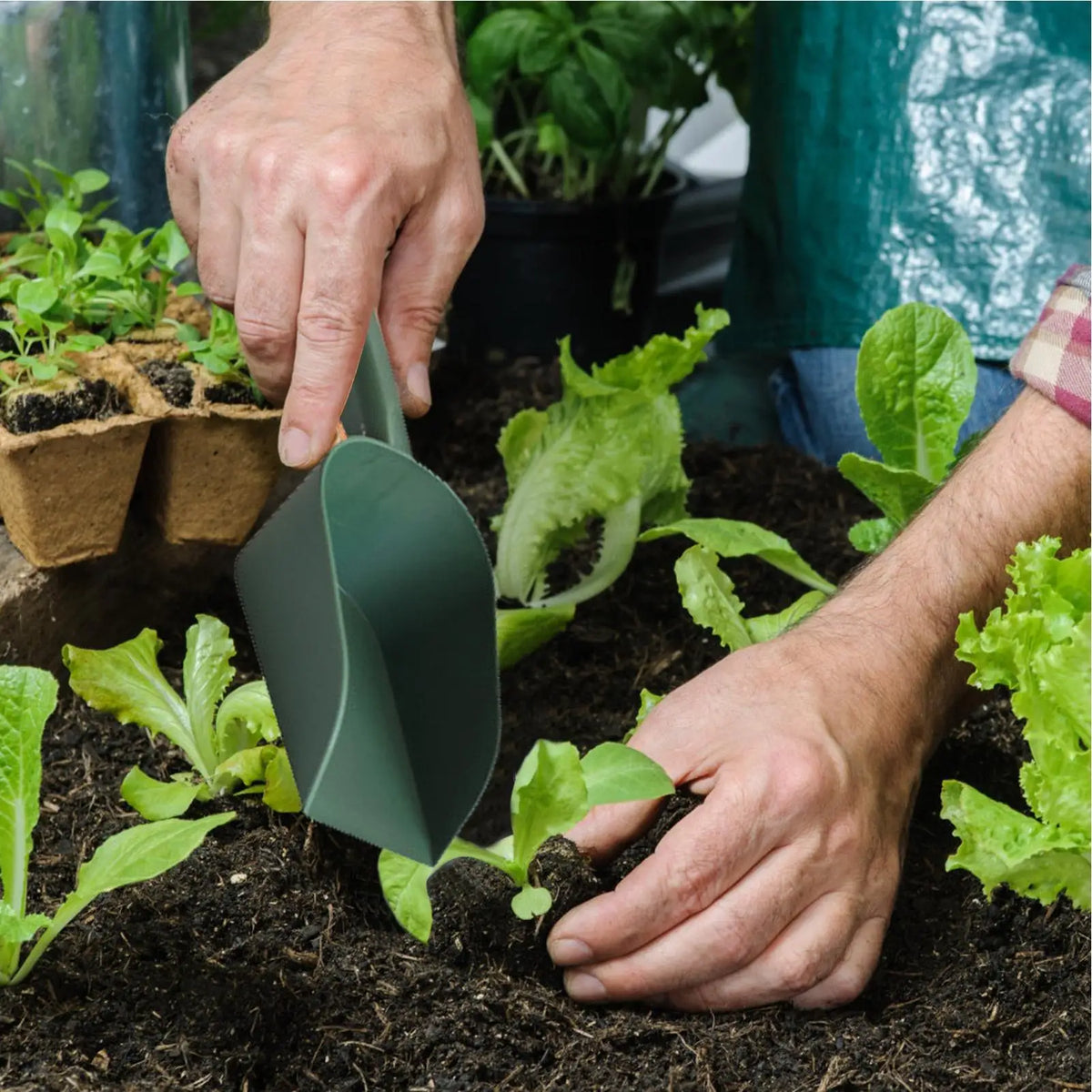 Pala de jardín pequeña para macetas y trasplantes