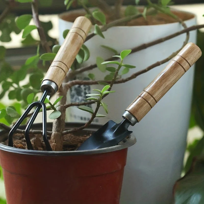 Kit de jardinería 3 piezas para macetas y huerto
