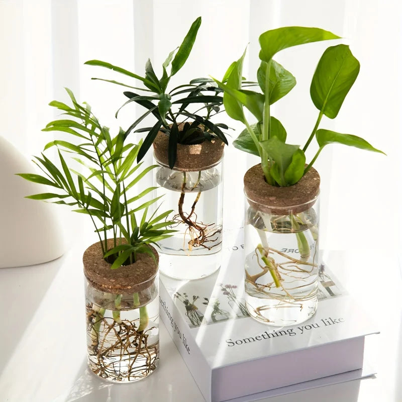 Florero de cristal para propagar plantas en agua