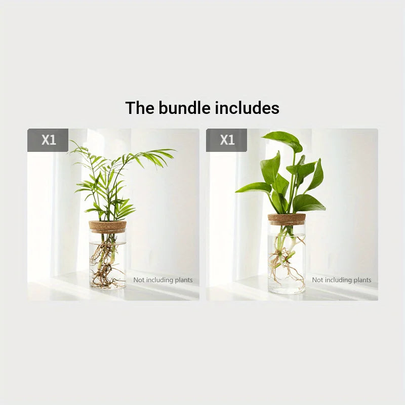 Florero de cristal para propagar plantas en agua