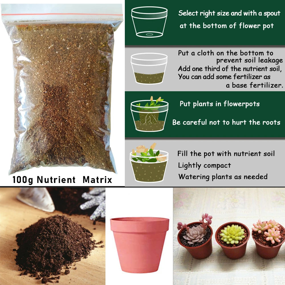 Fertilizante NPK para suculentas y bonsáis | 100 g