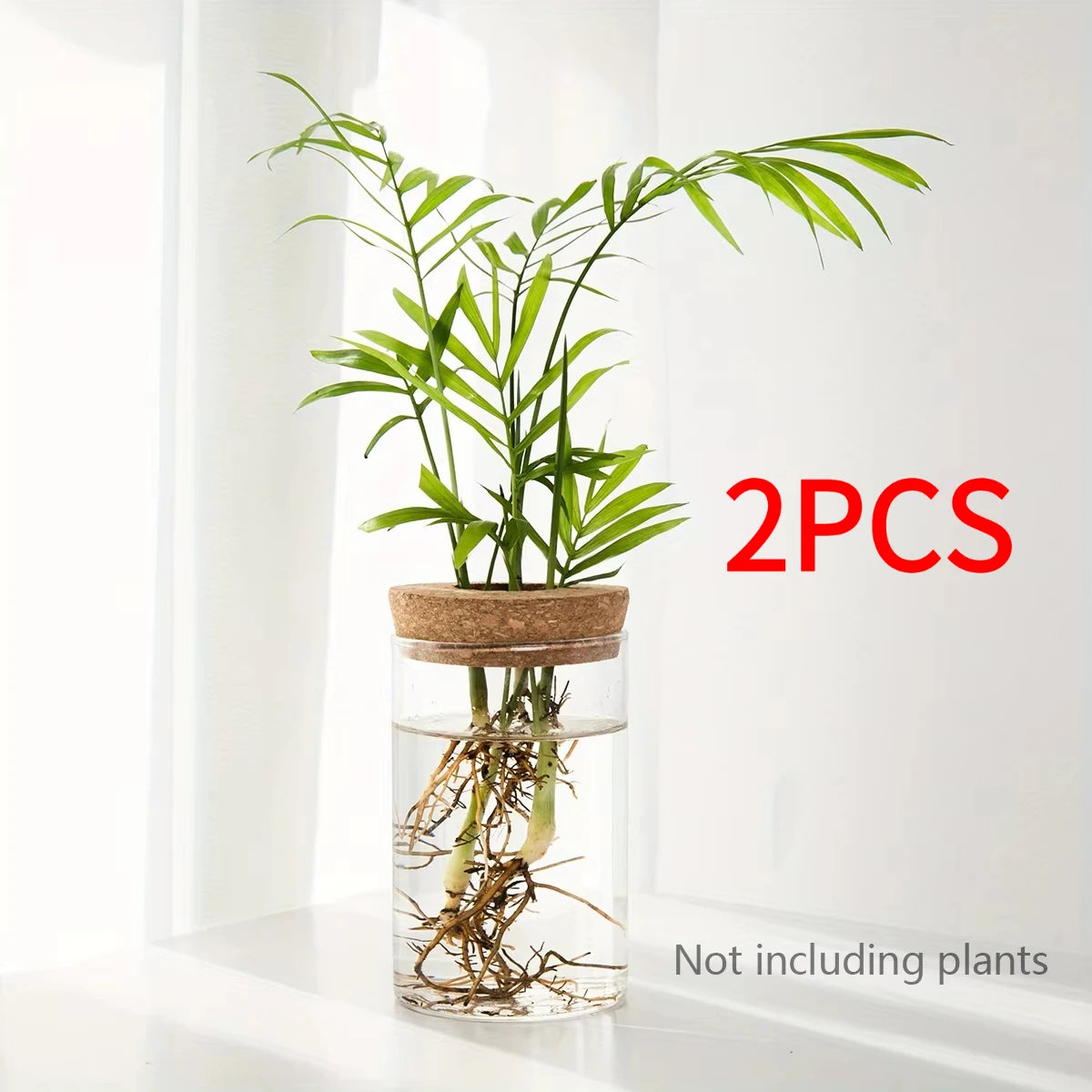Florero de cristal para propagar plantas en agua