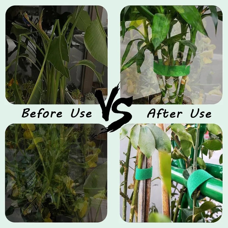Cinta de velcro para sujetar plantas trepadoras