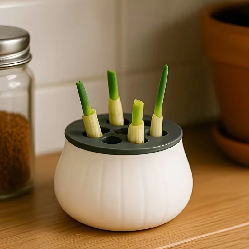 Kit hidropónico para cultivar ajo y cebollino en casa