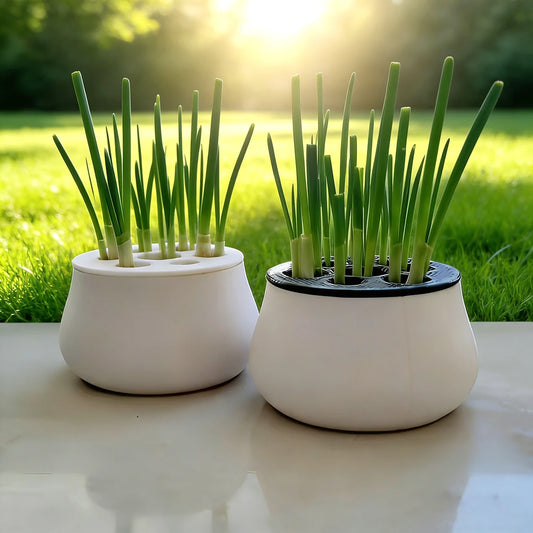 Kit hidropónico para cultivar ajo y cebollino en casa