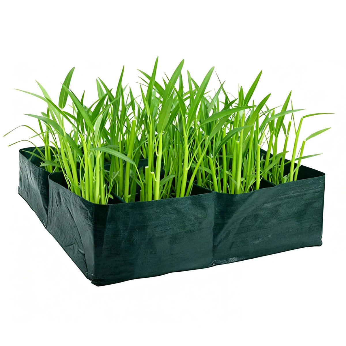 Bolsas de cultivo para plantas, macetas grandes para cultivo interior, exteriores, balcón, invernadero, jardín, accesorios de jardinería, bolsas de plantación, herramientas.